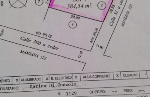 LOTE EN VENTA (384 mts 2) - 31 e/ 499 y 500 - Gorina - U$S 45.000